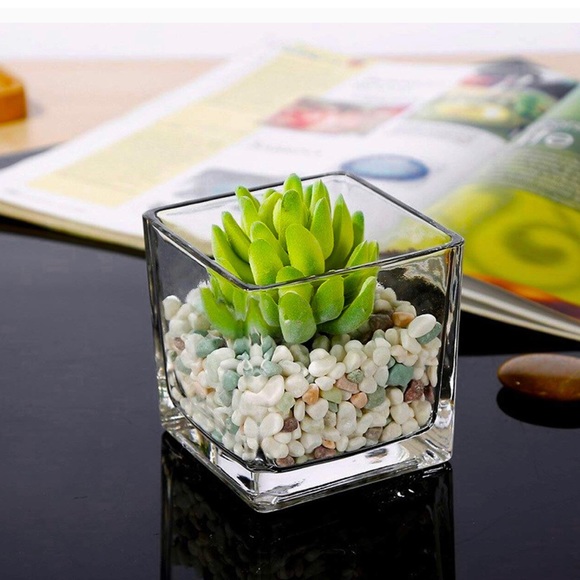 Glass Vases Set of 2 NWT - Picture 7 of 9